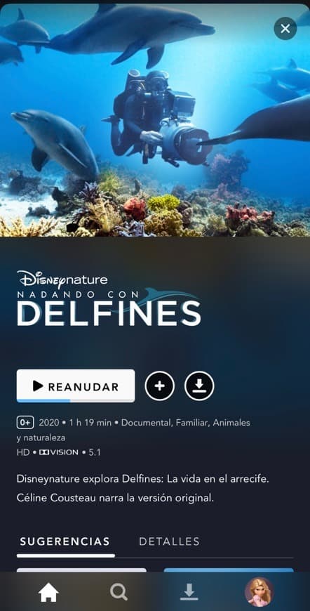 Serie Nadando  con delfines