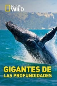 Serie Gigantes de las profundidades 