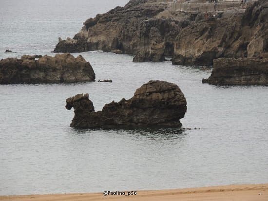 Lugar Playa del Camello