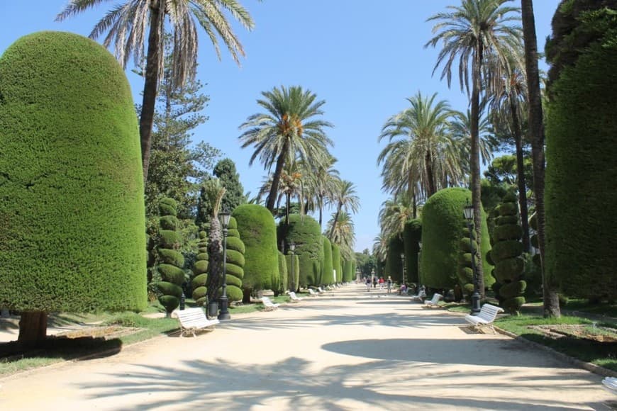 Lugar Parque Genovés