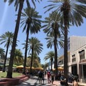 Place Lincoln Road