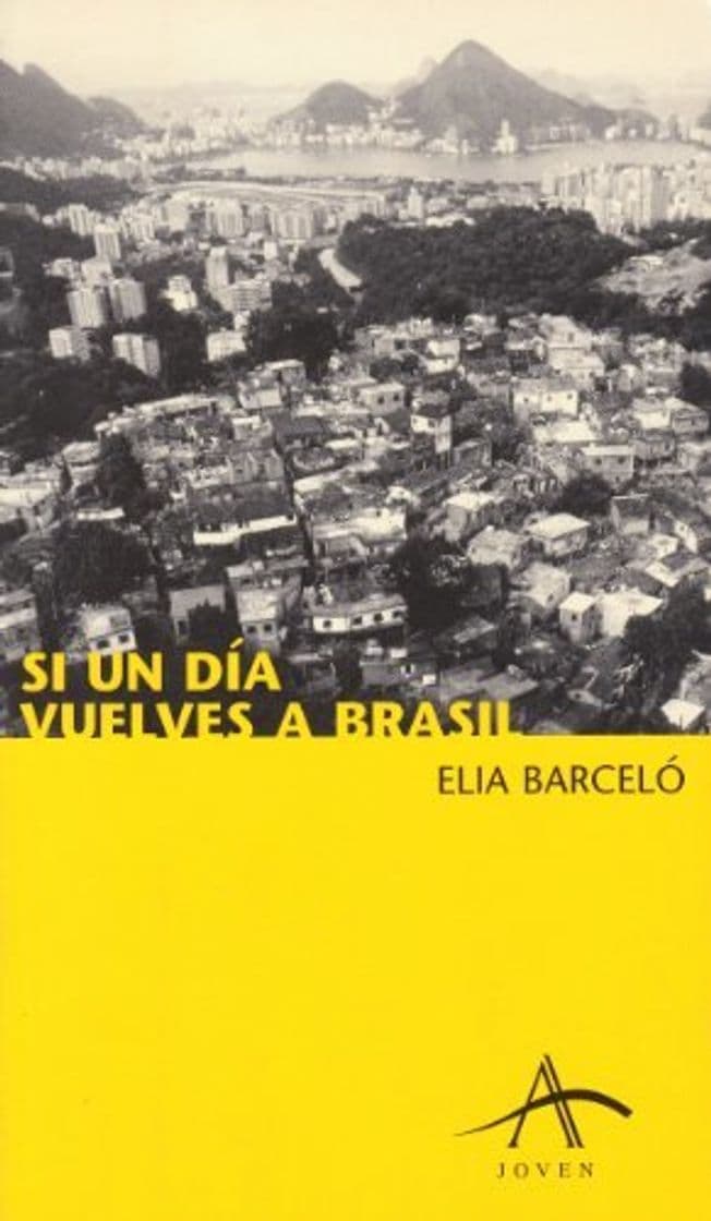 Book Si un día vuelves a Brasil