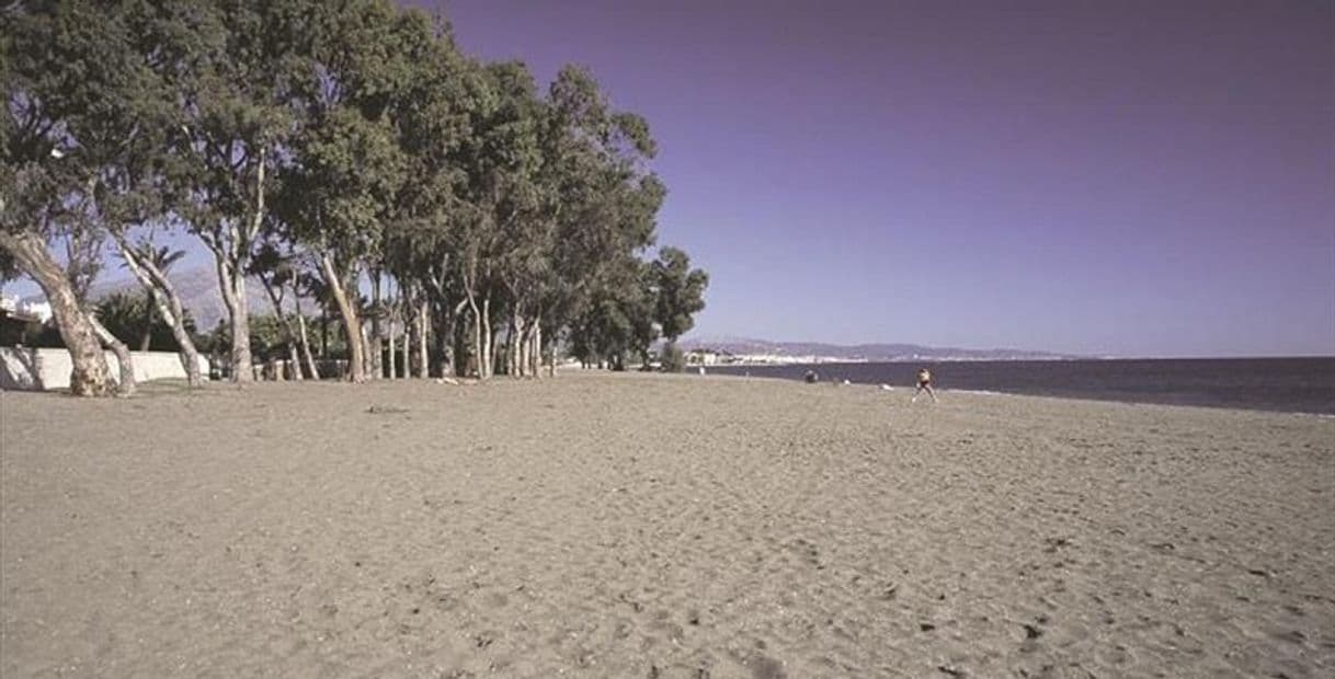 Lugar Playa san Pedro de Alcántara