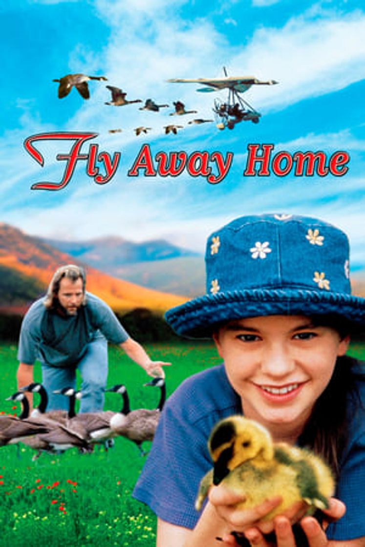 Película Fly Away Home