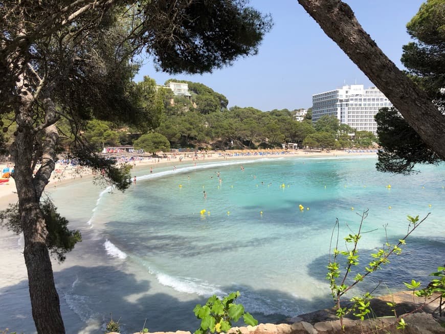 Place Cala Galdana