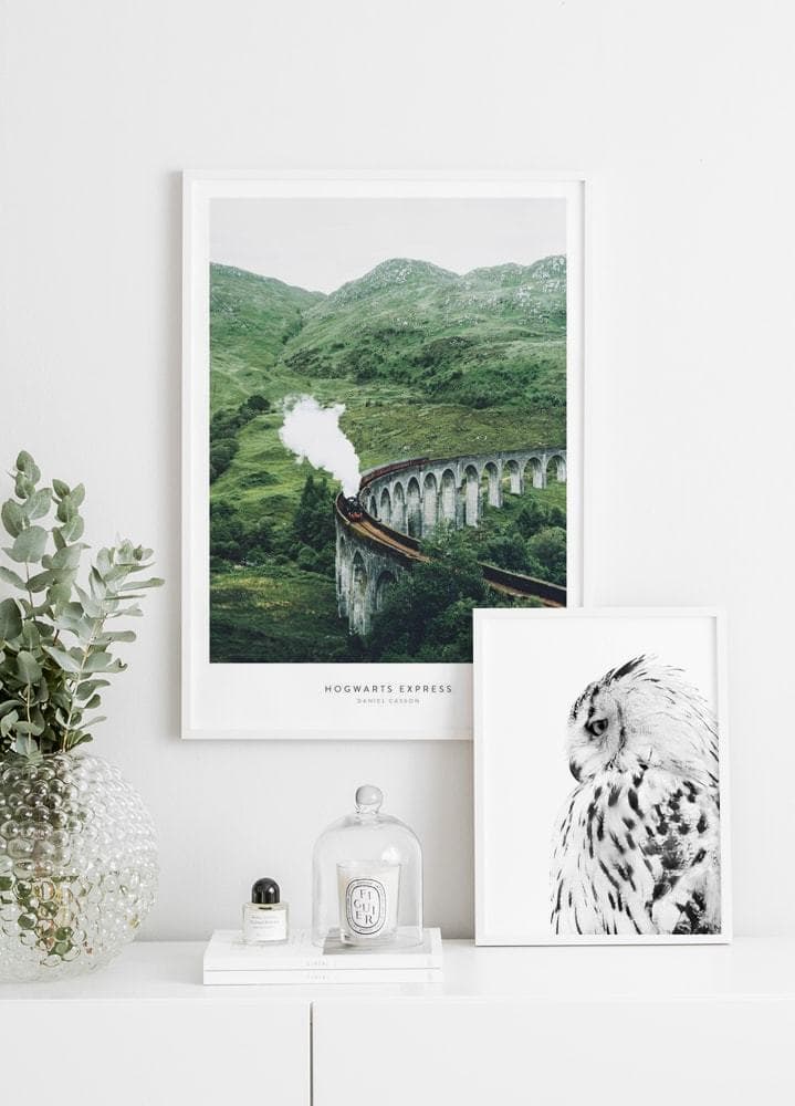 Fashion Hogwarts Express Póster - Naturaleza botánica - Posterstore.es