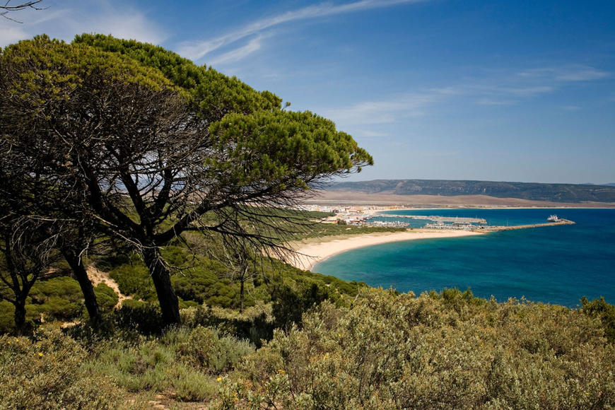 Place Parque natural de La Breña y Marismas del Barbate