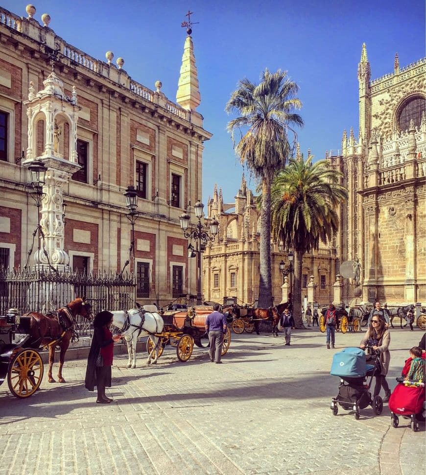 Place Plaza del Triunfo