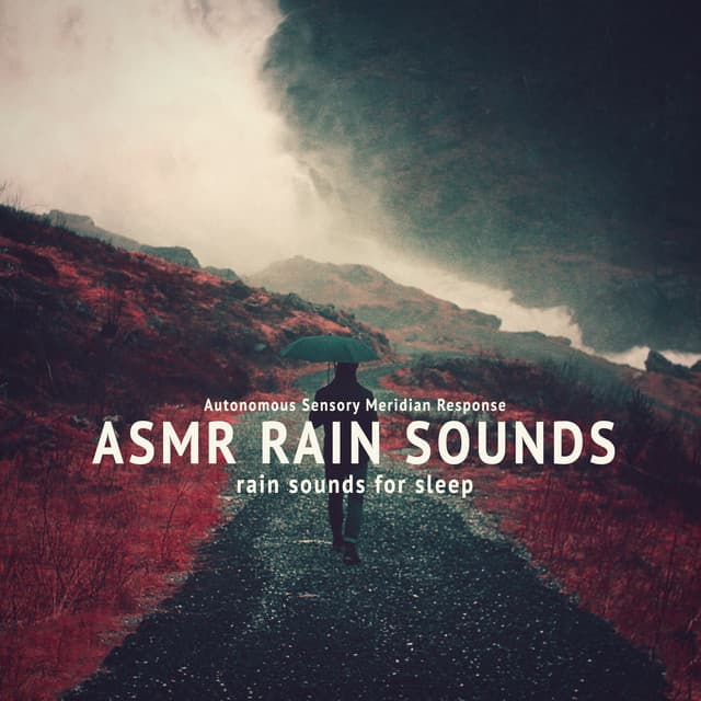 Canción Rain Sounds: Calm Night