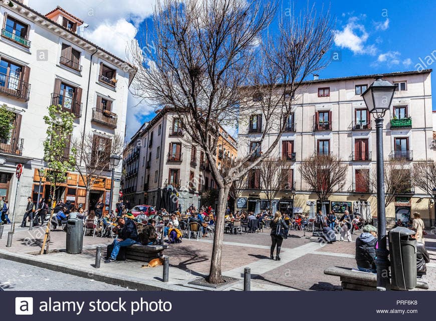 Restaurants Plaza de San Ildefonso