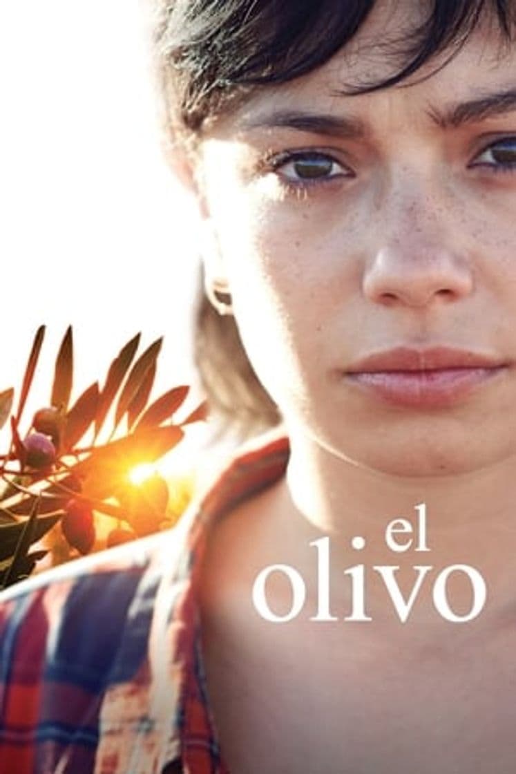 Película The Olive Tree