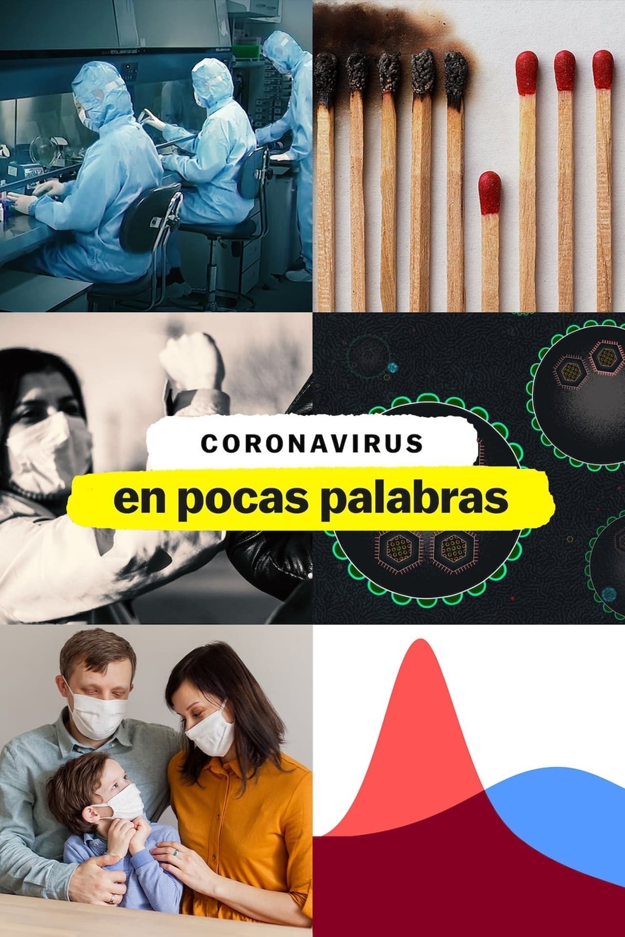 Serie El coronavirus, en pocas palabras