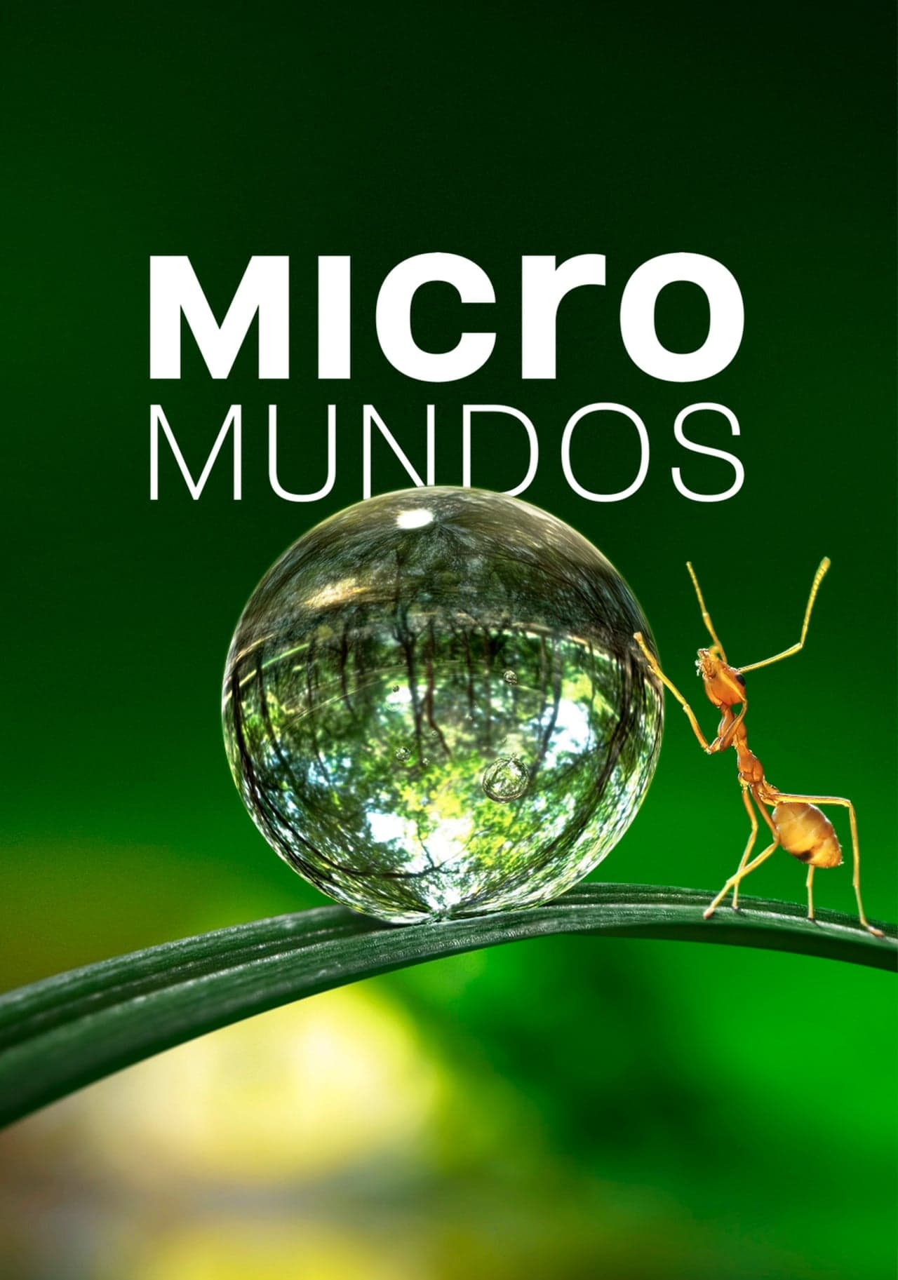 Serie Micromundos