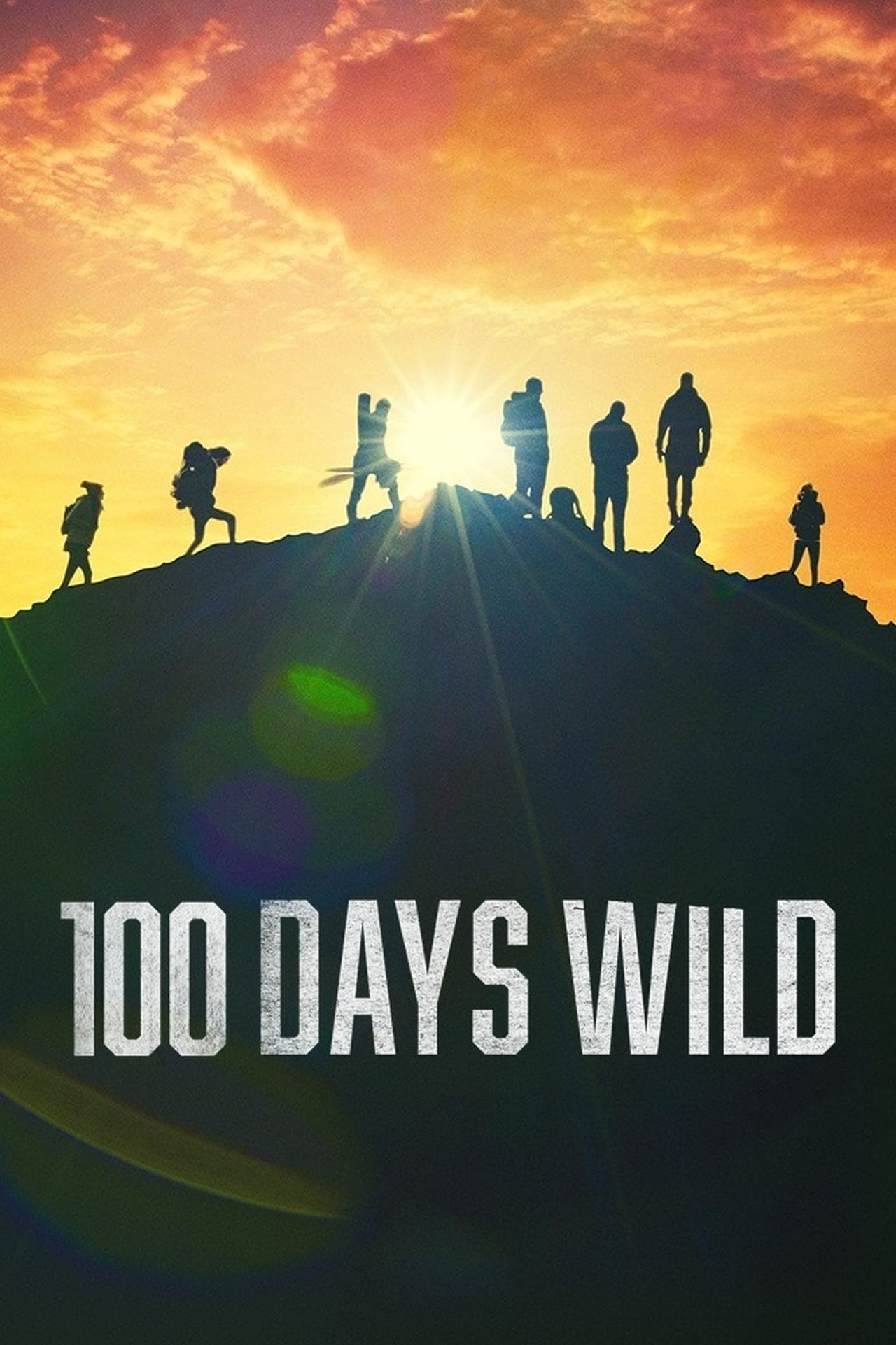 Serie 100 Days Wild