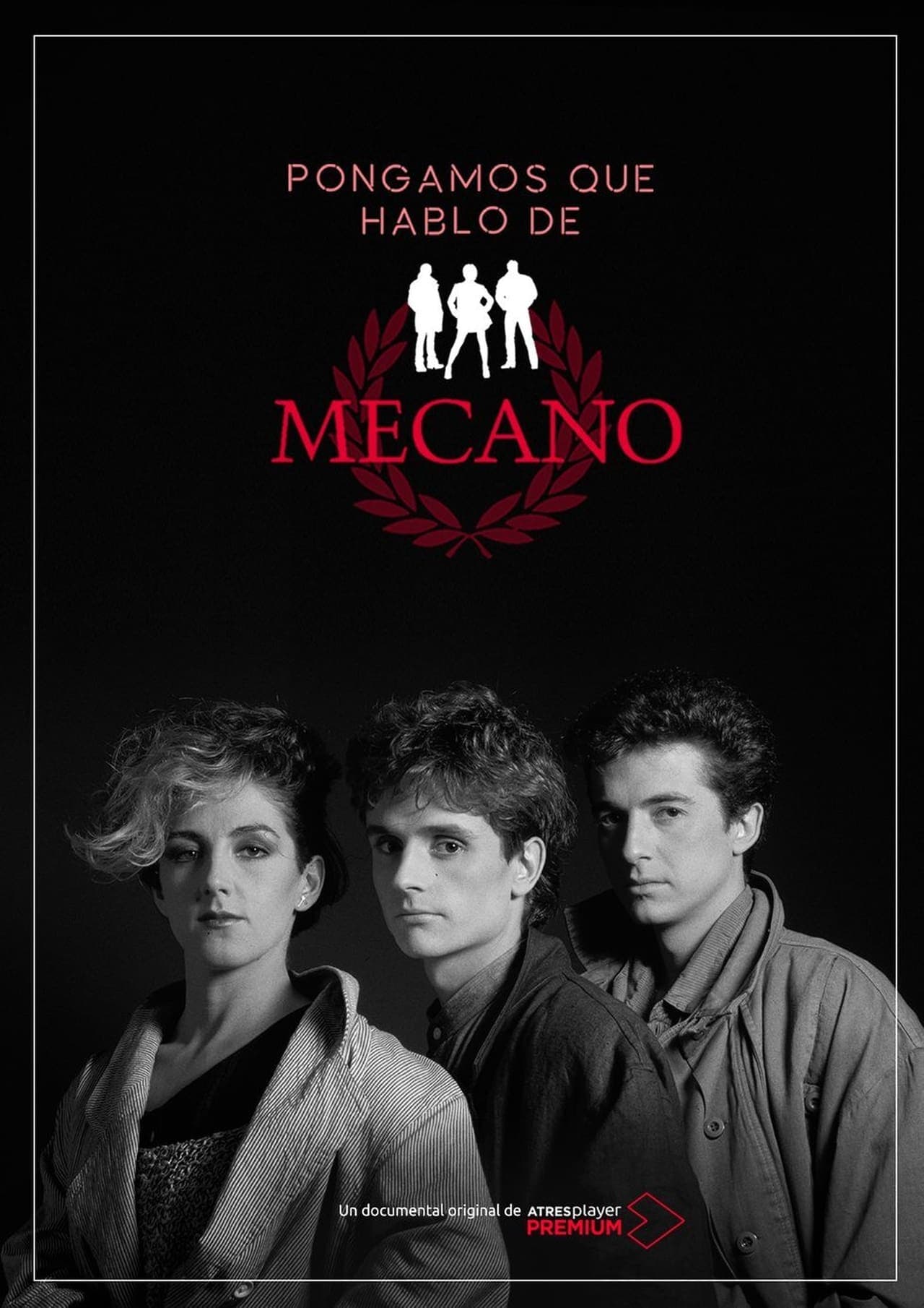 Serie Pongamos que hablo de Mecano