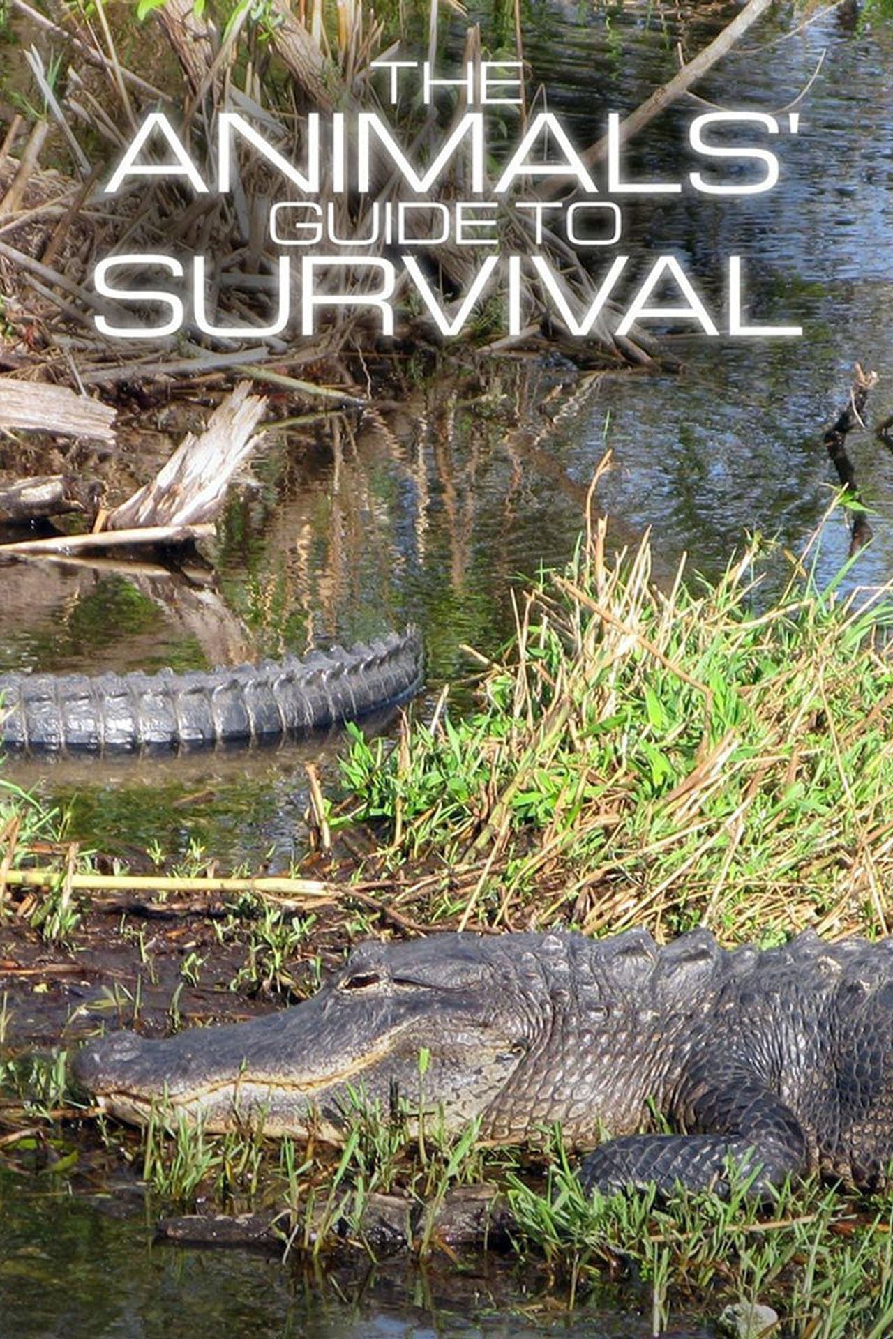 Serie The Animals' Guide to Survival