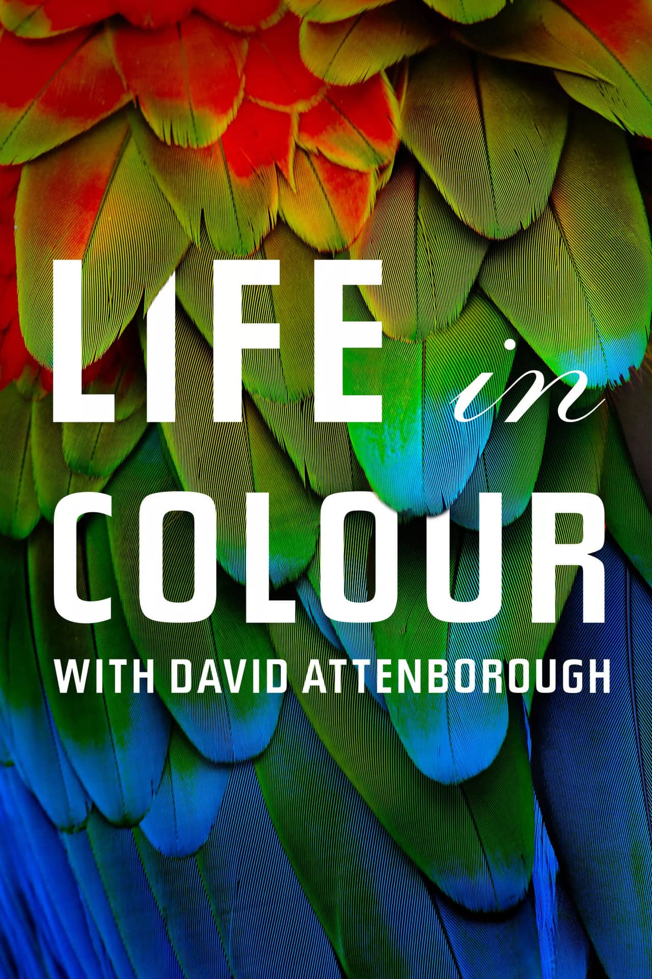 Serie La vida a todo color, con David Attenborough