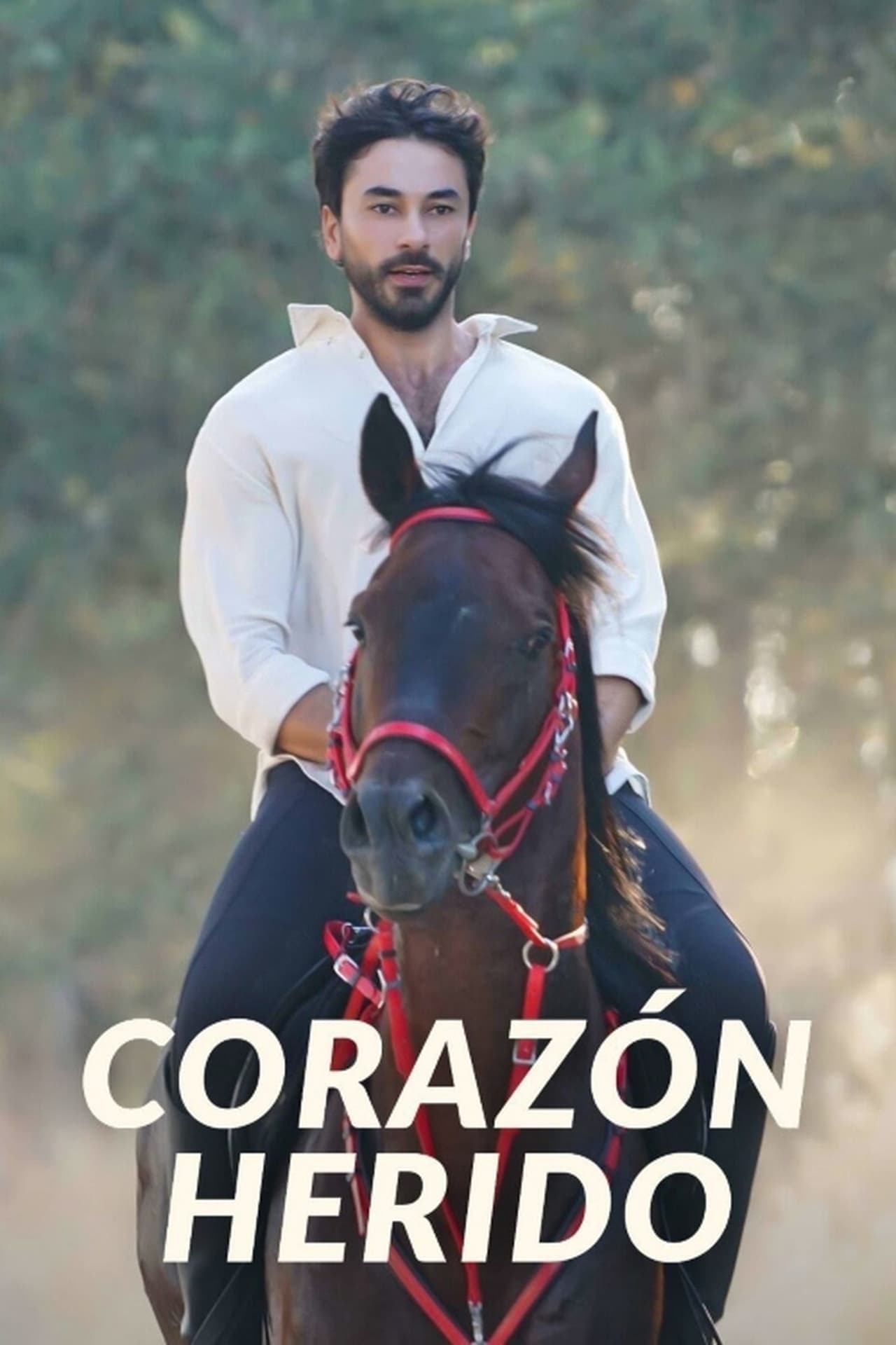 Serie Corazón herido