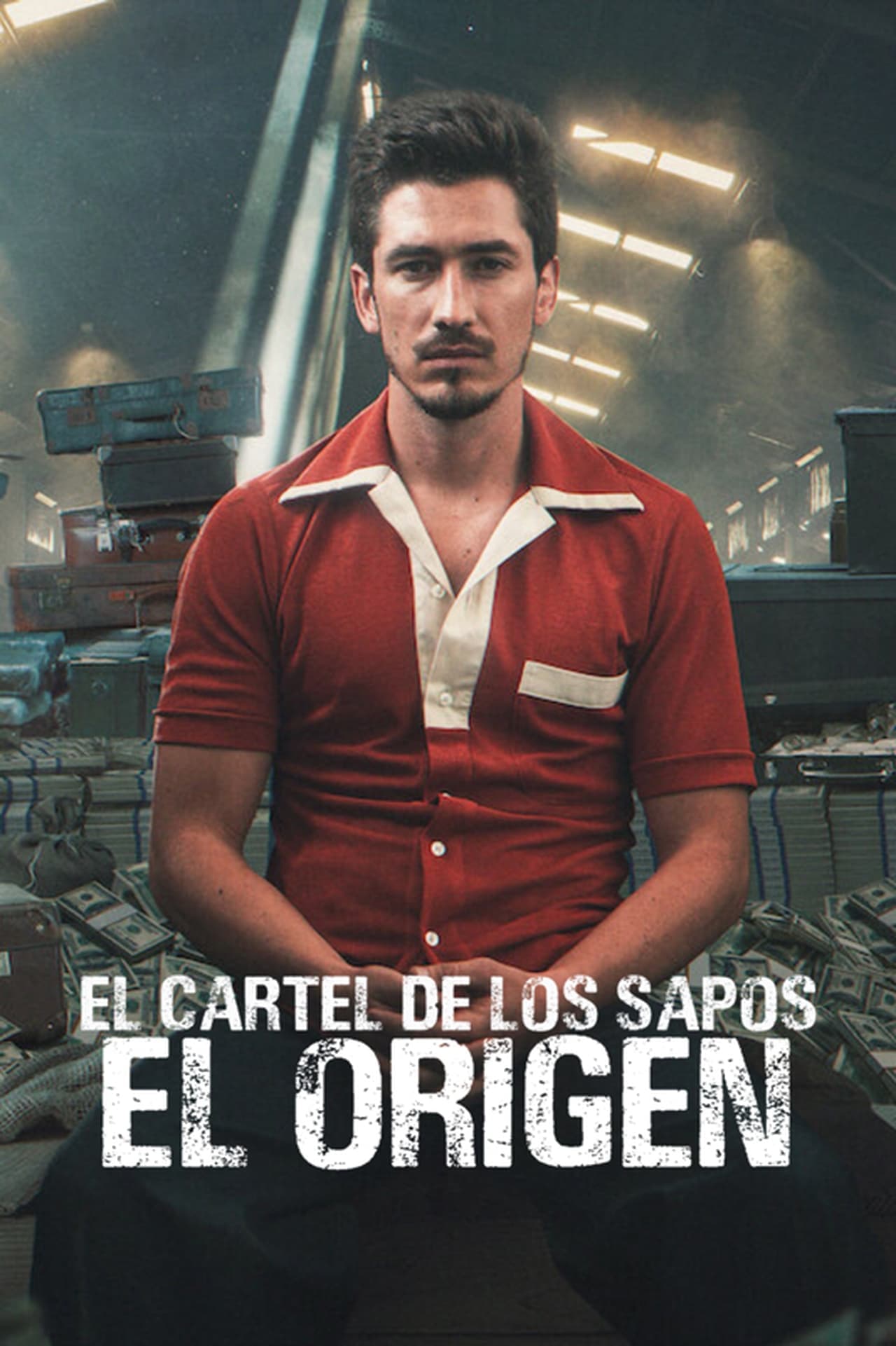 Serie El cartel de los sapos: El origen