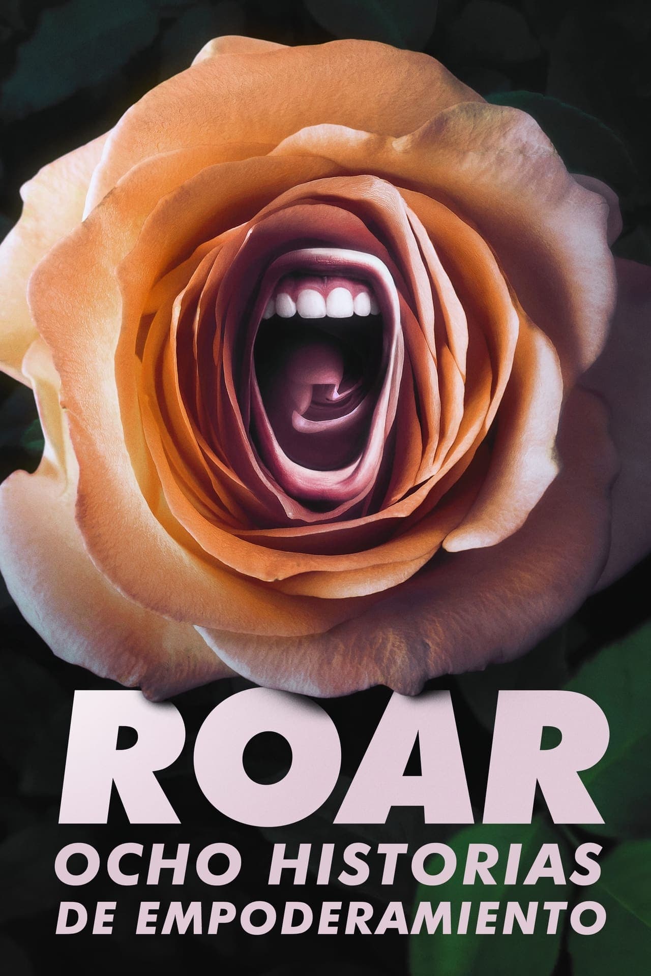 Serie Roar