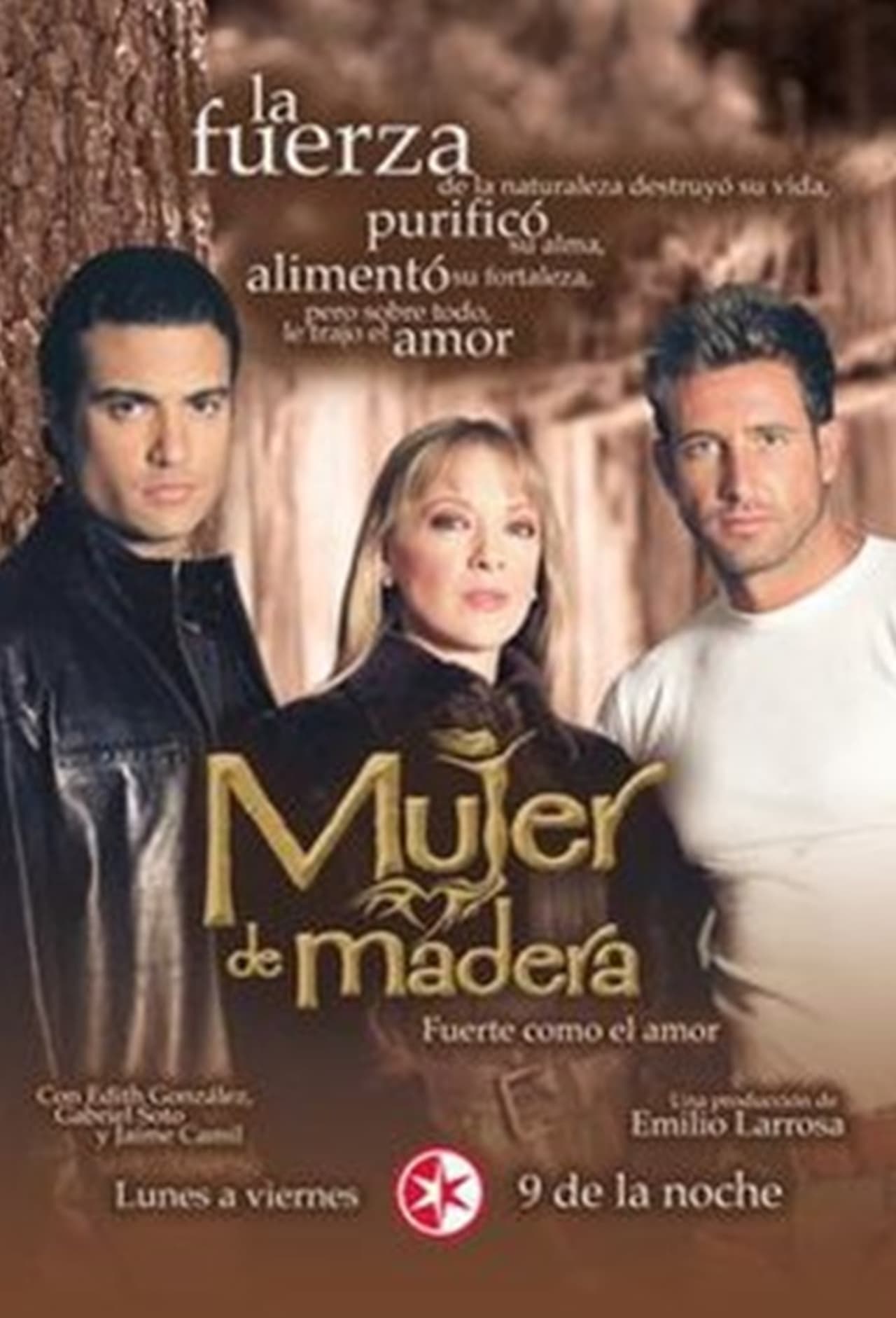 Serie Mujer de Madera