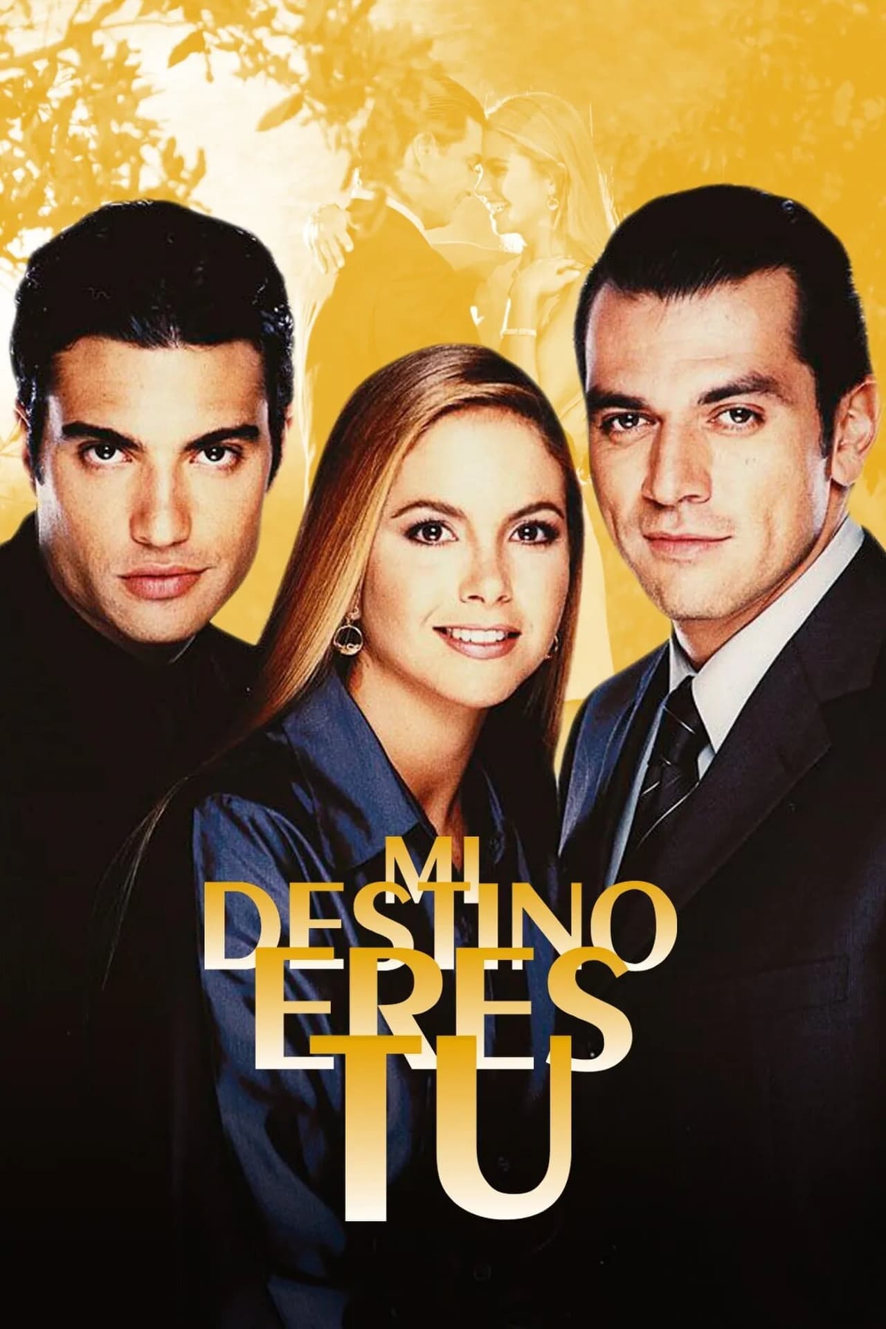 Serie Mi Destino Eres Tú