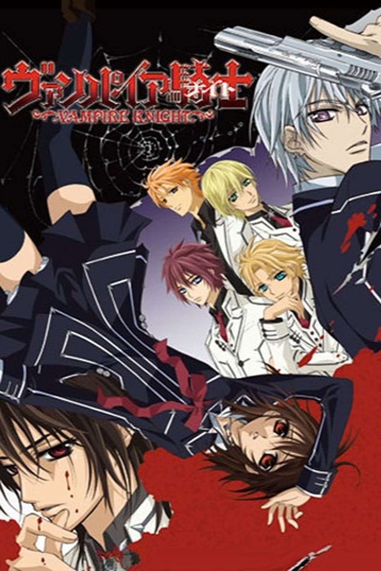 Serie Vampire Knight