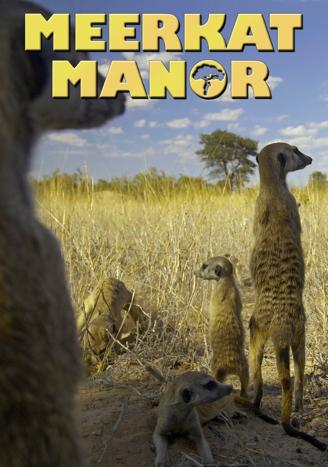 Serie Meerkat Manor