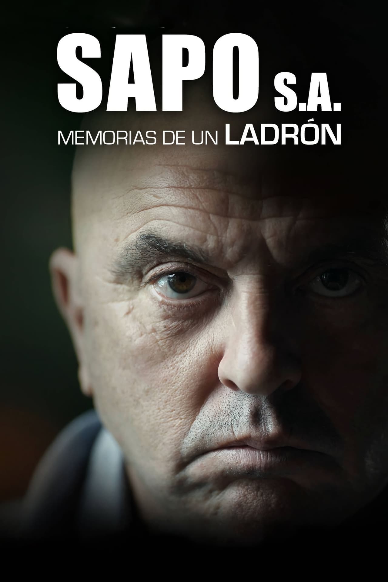 Serie Sapo, S.A. Memorias de un ladrón