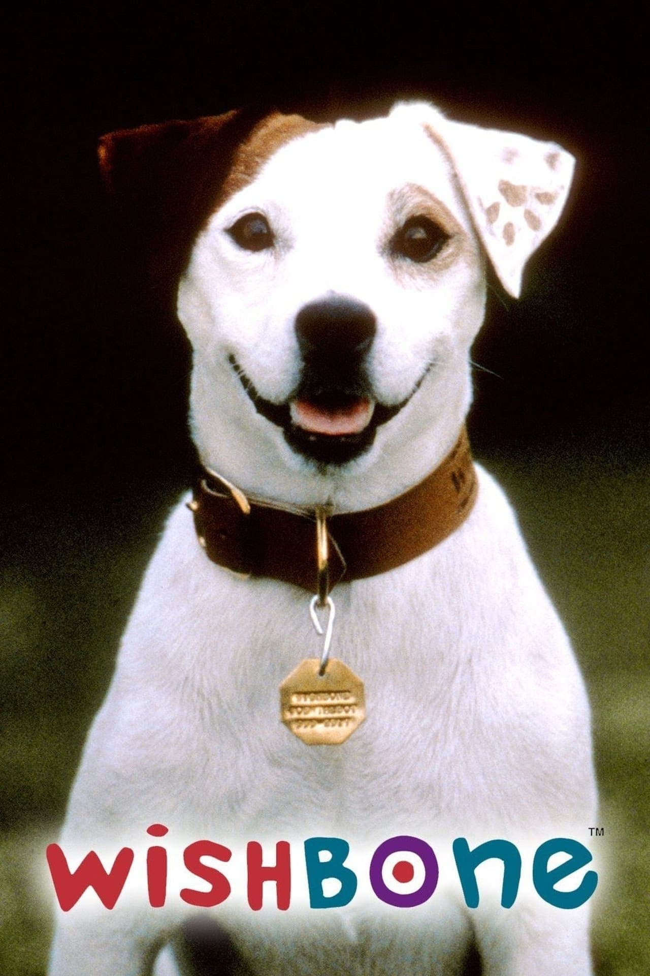 Serie Wishbone