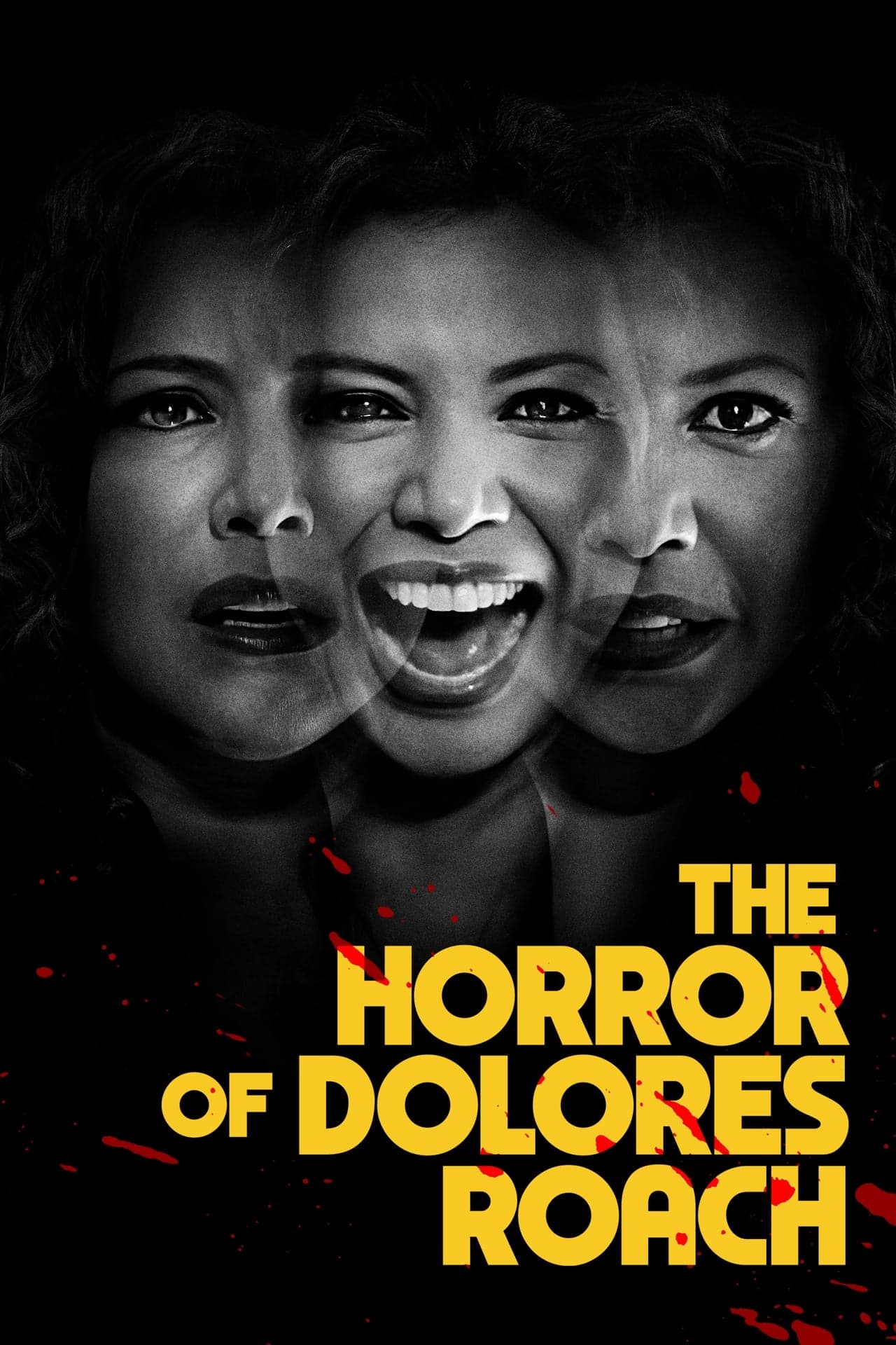 Serie El horror de Dolores Roach