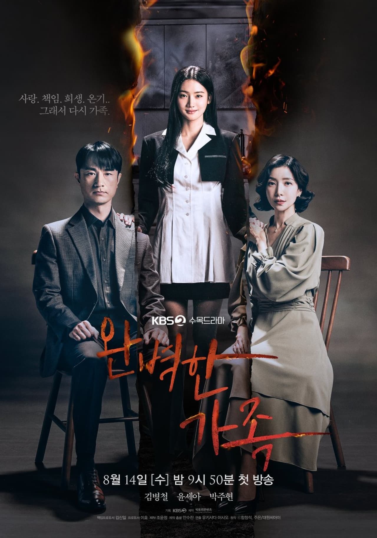 Serie 완벽한 가족