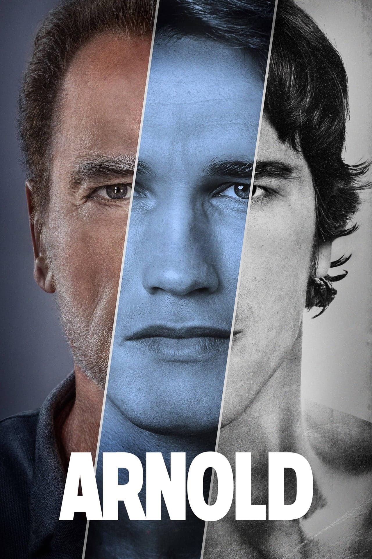 Serie Arnold