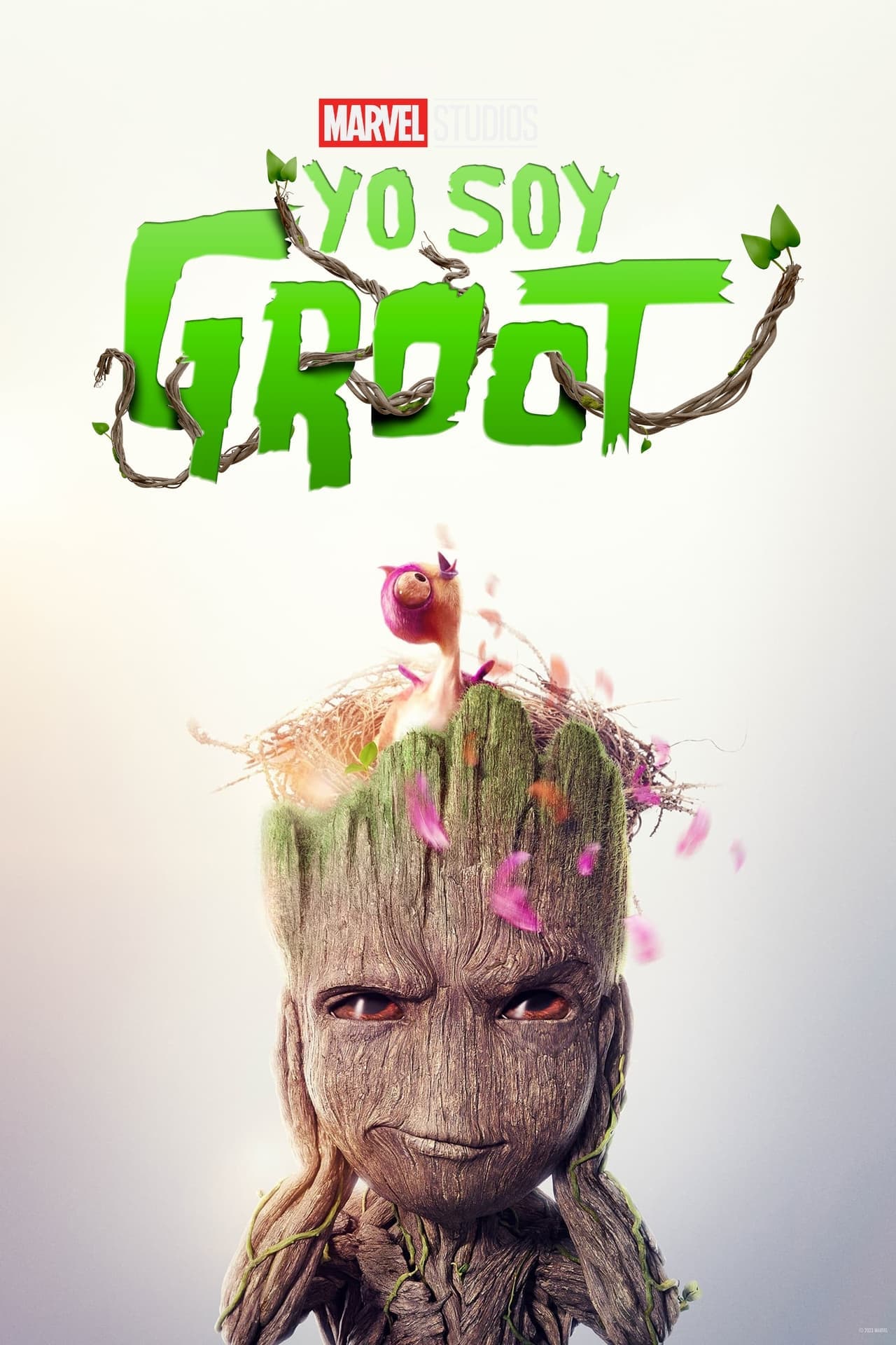 Serie Yo soy Groot