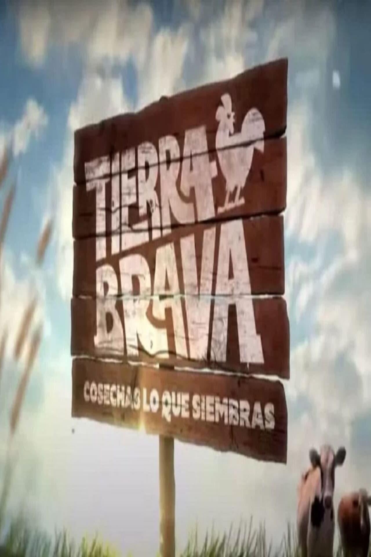 Serie Tierra Brava