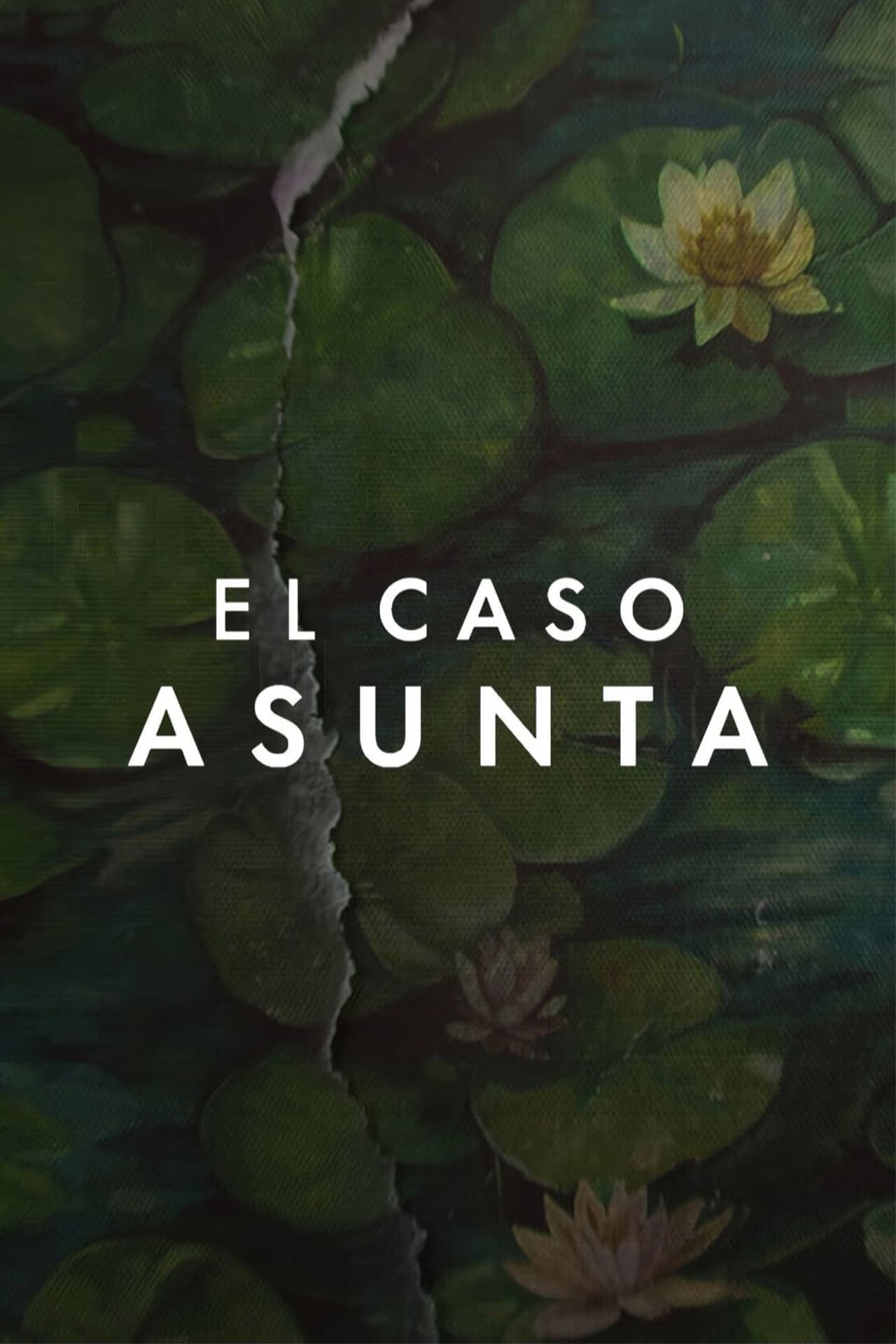 Serie El caso Asunta