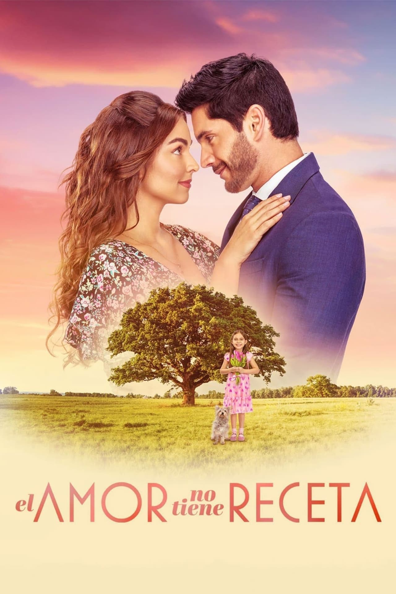 Serie El amor no tiene receta