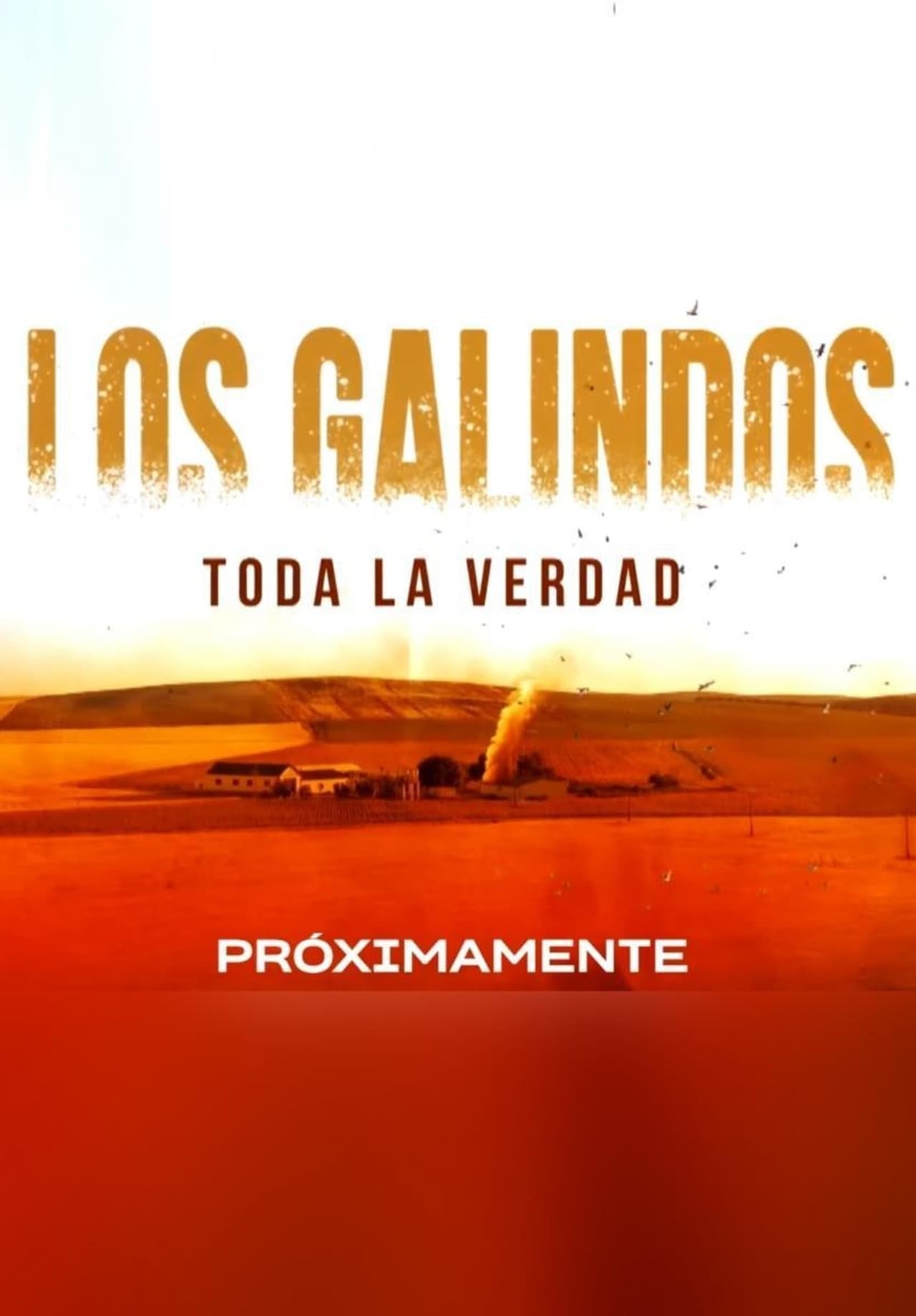 Serie Los Galindos, toda la verdad