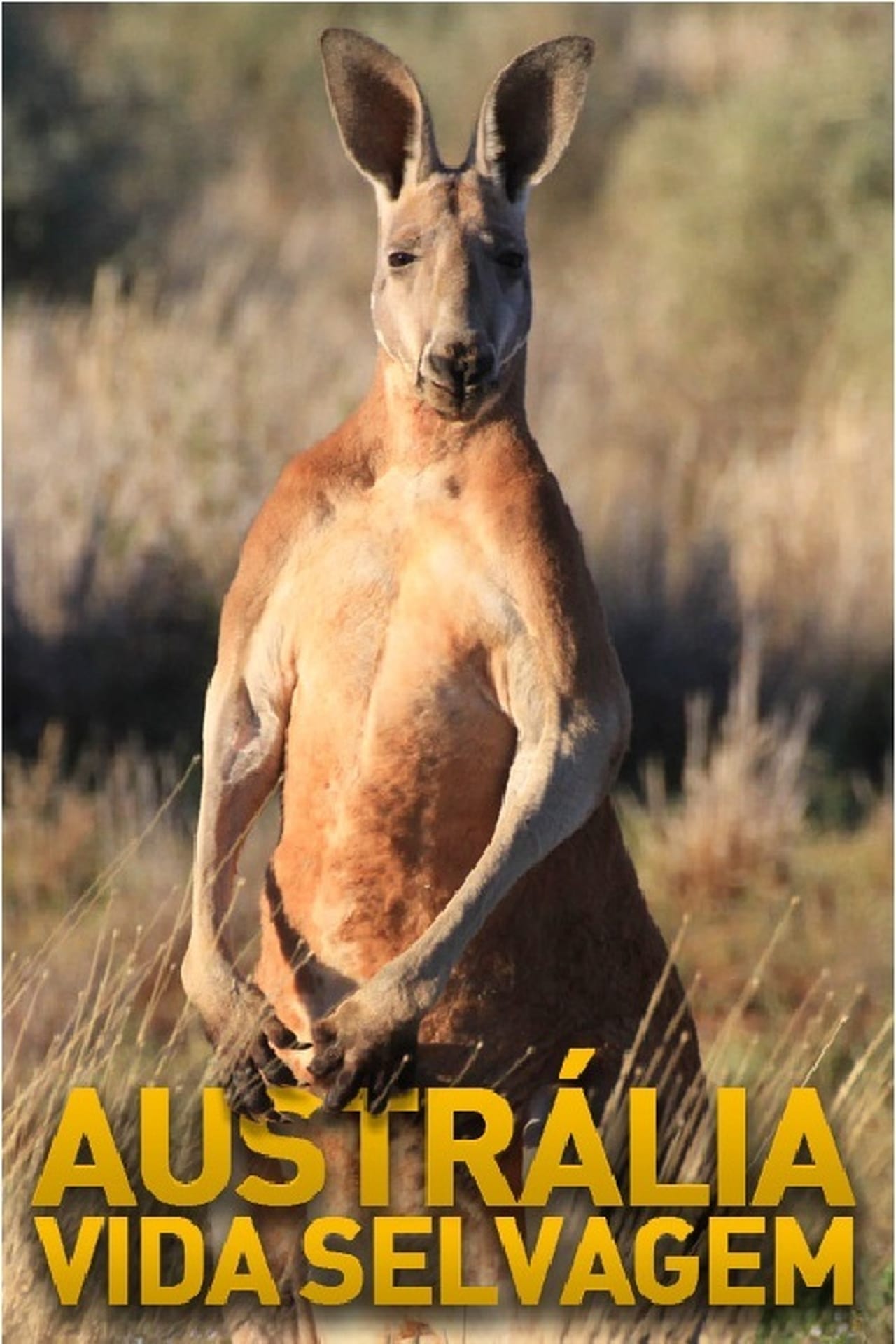 Serie Australian Wildlife