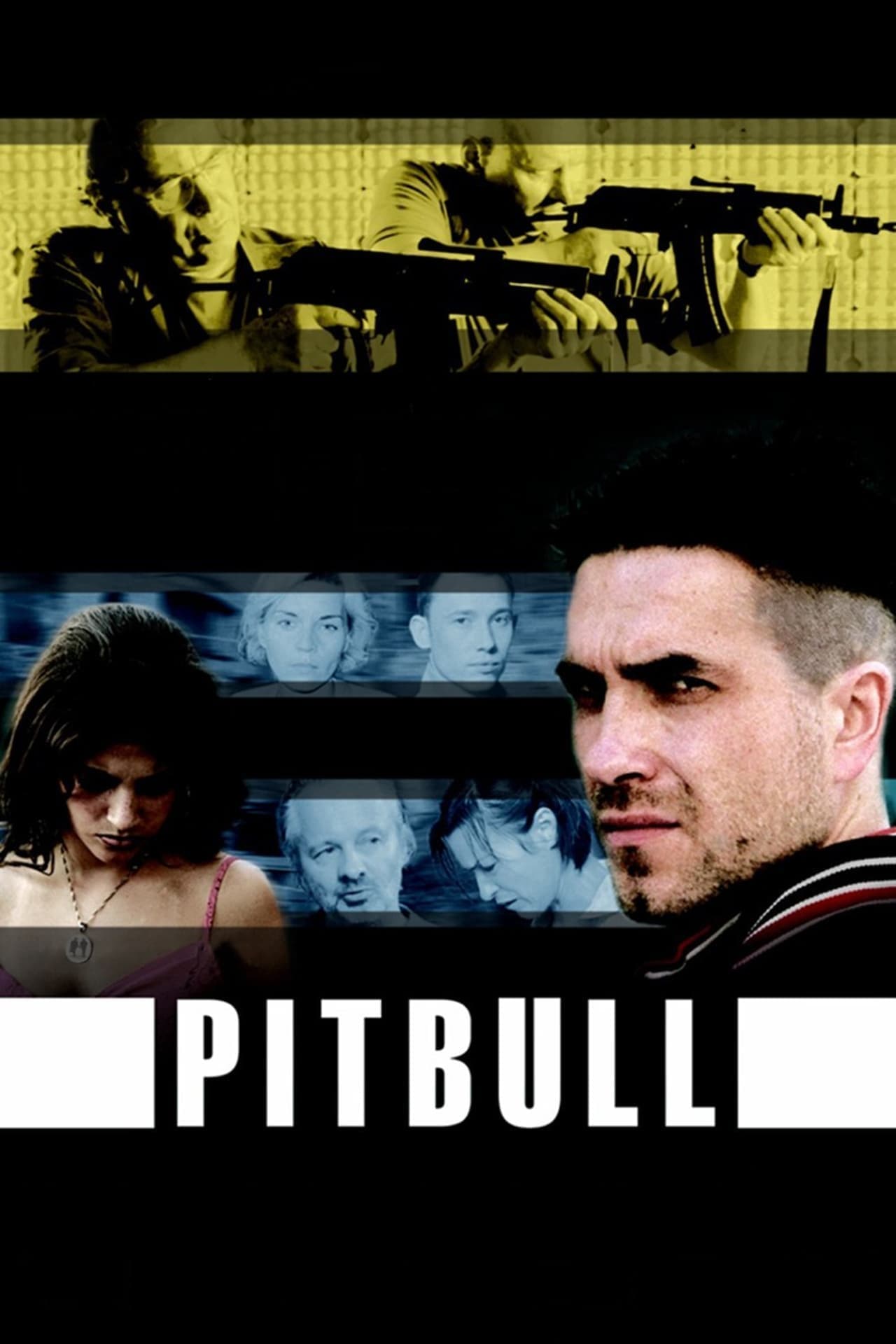 Serie Pitbull