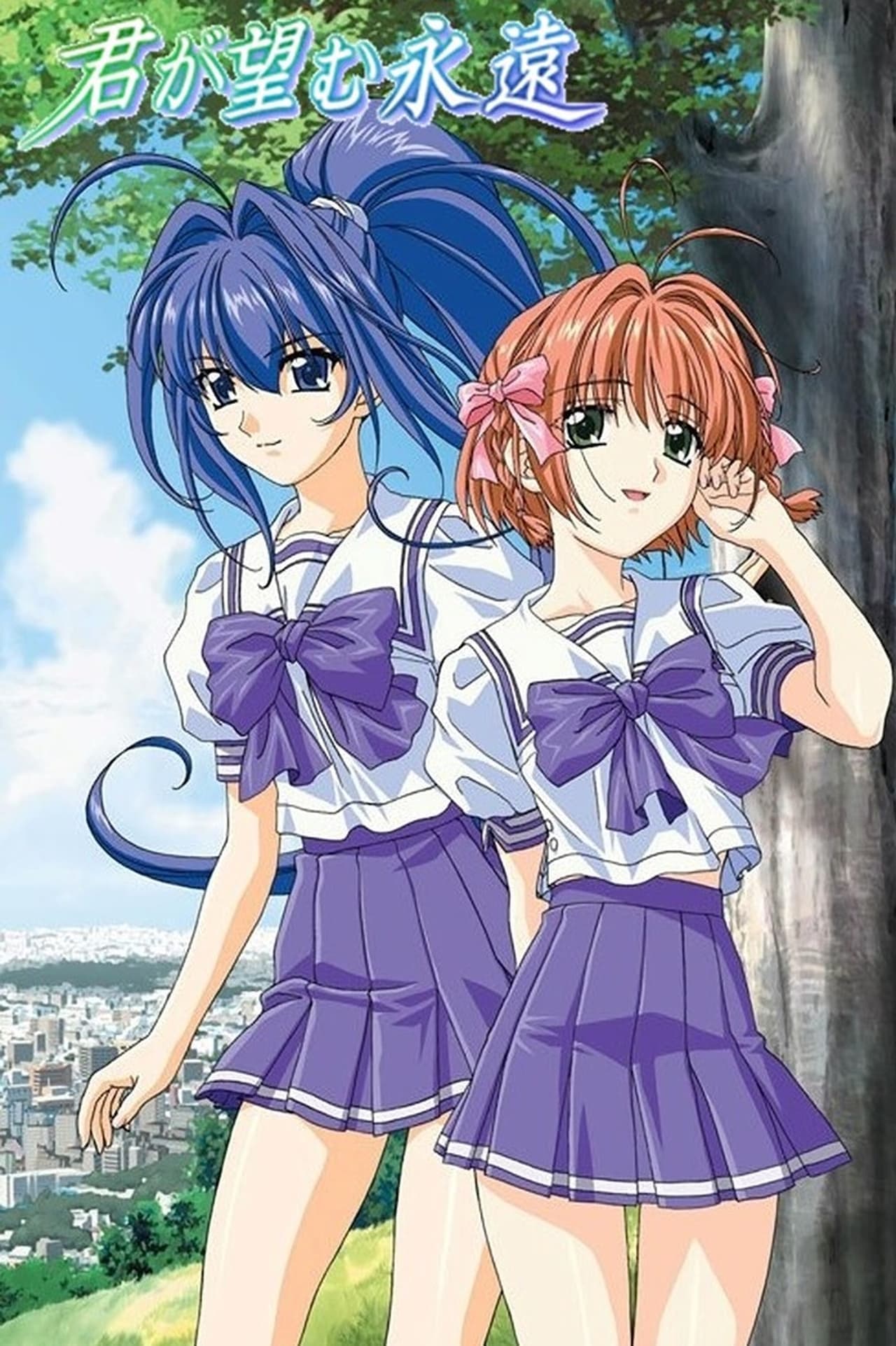 Serie Kimi ga Nozomu Eien