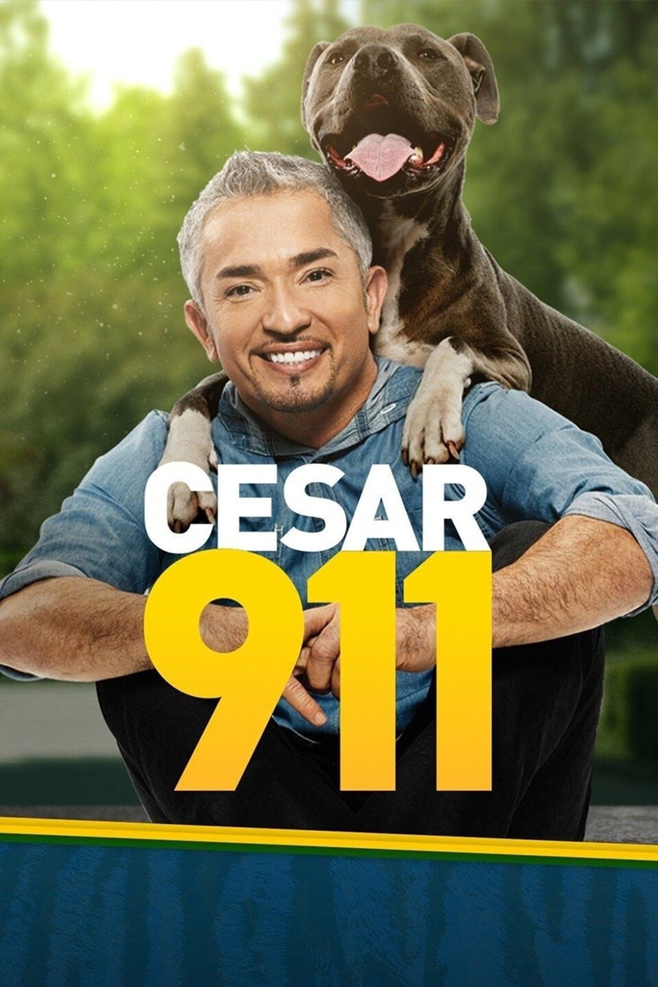 Serie Cesar 911