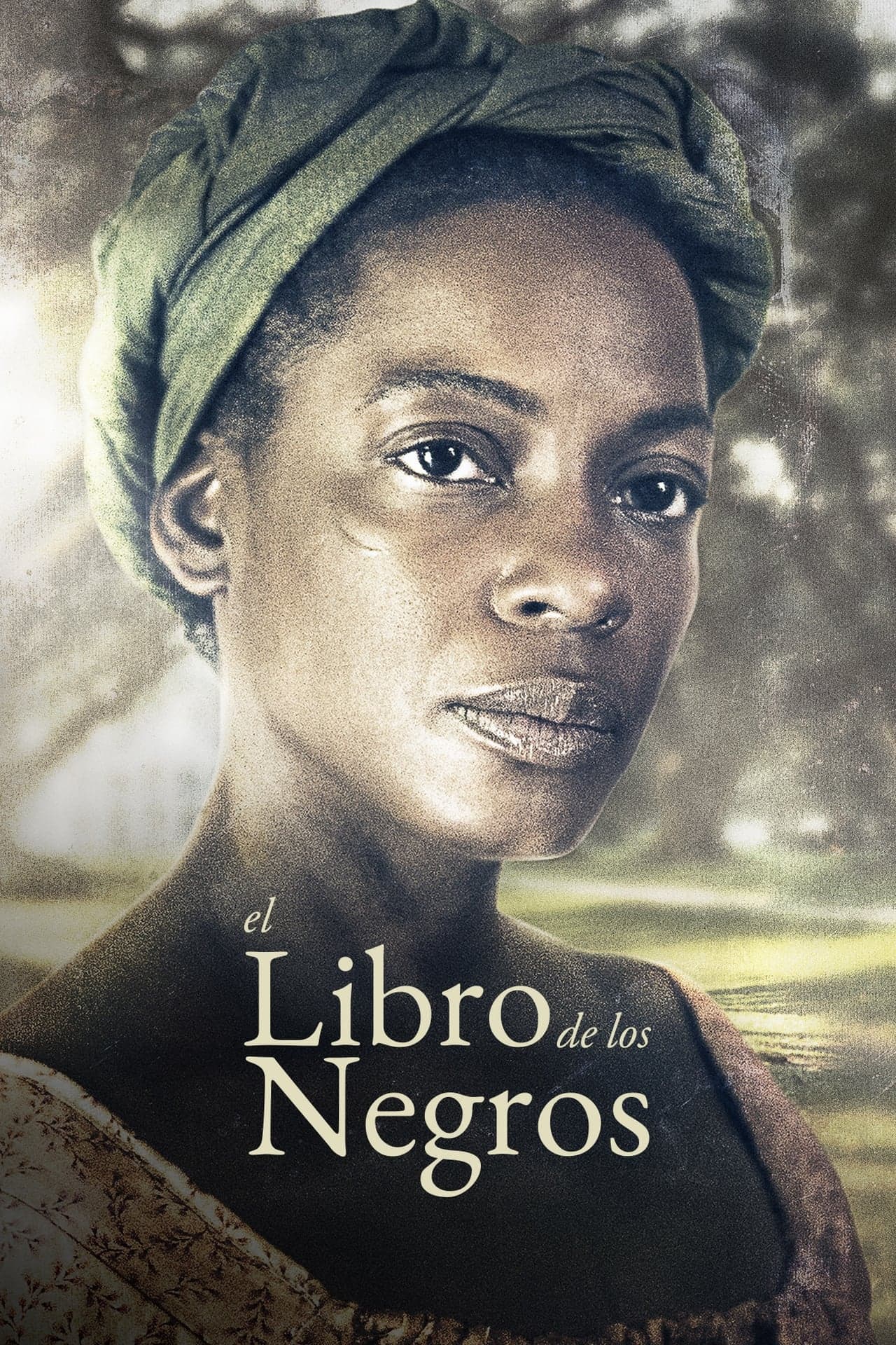 Serie El libro de los negros