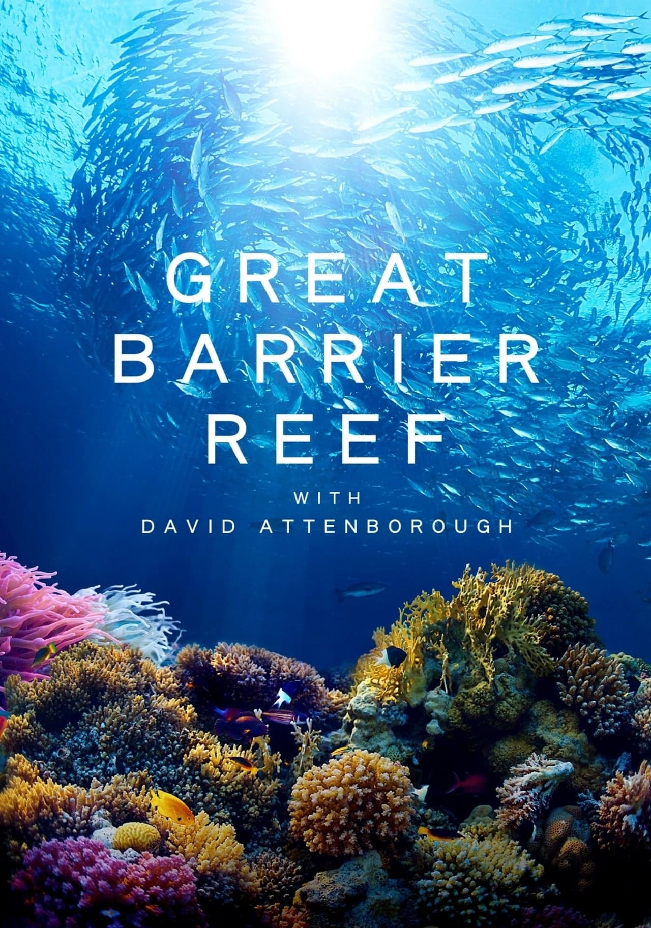 Serie La gran barrera de coral con David Attenborough