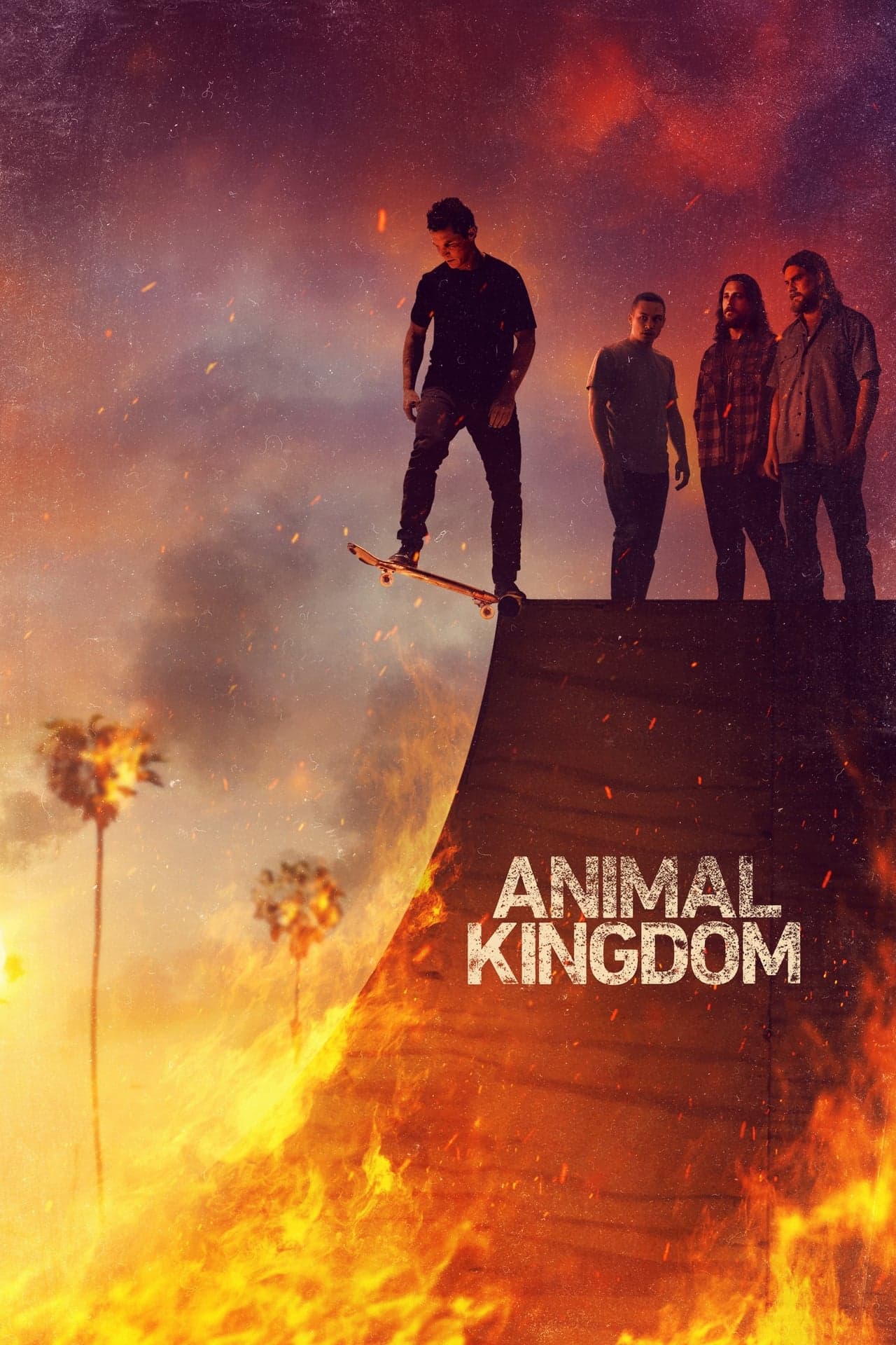 Serie Animal Kingdom