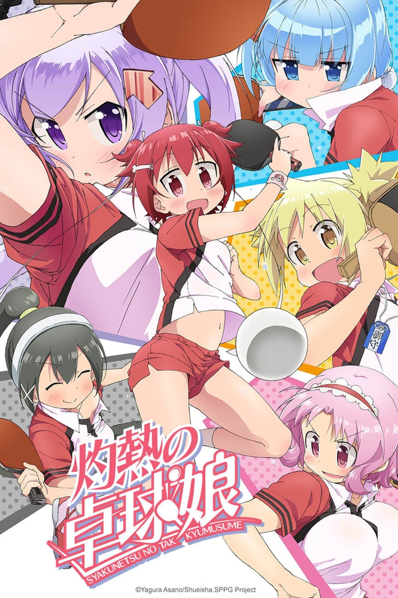 Serie Shakunetsu no Takkyuu Musume