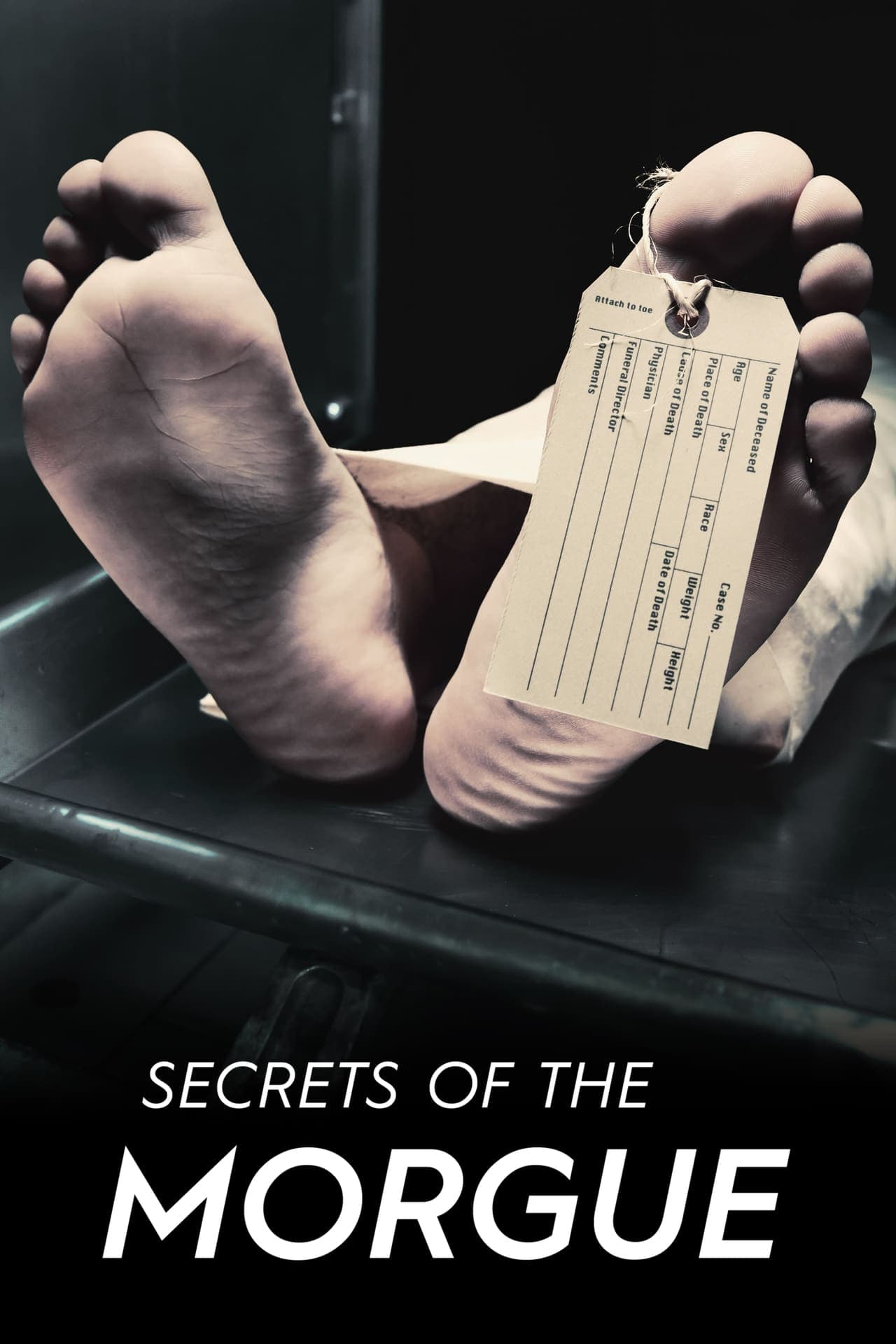 Serie Secrets of the Morgue