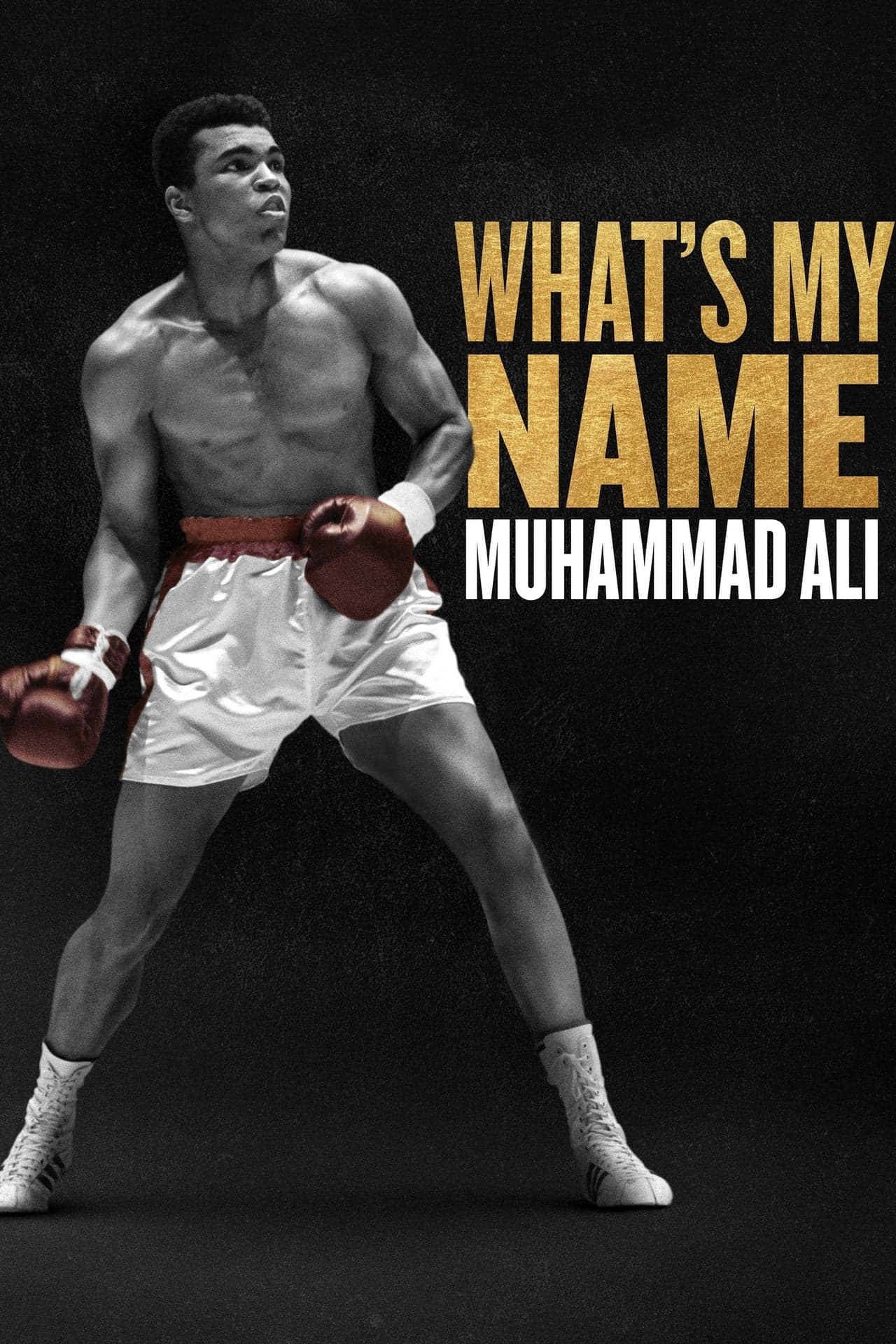 Serie Me llamo Muhammad Ali