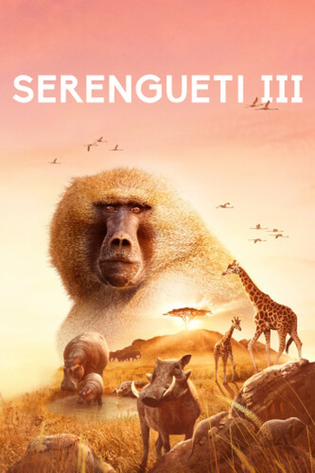 Serie Serengueti