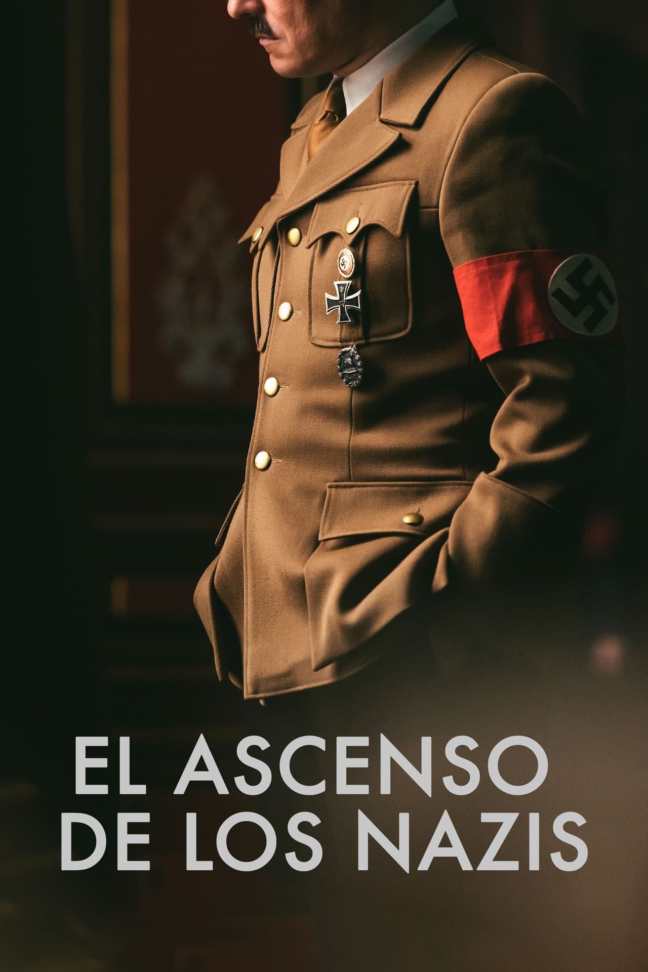 Serie El ascenso de los nazis